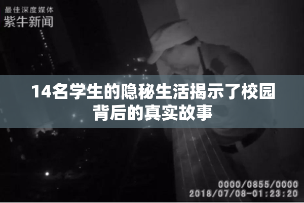 14名学生的隐秘生活揭示了校园背后的真实故事