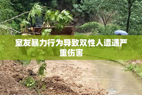 室友暴力行为导致双性人遭遇严重伤害