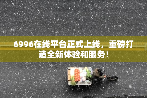 6996在线平台正式上线，重磅打造全新体验和服务！
