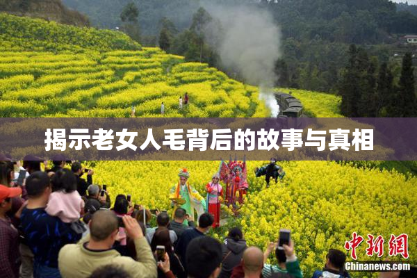 揭示老女人毛背后的故事与真相