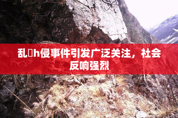 乱婬h侵事件引发广泛关注，社会反响强烈