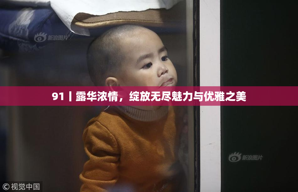 91丨露华浓情，绽放无尽魅力与优雅之美