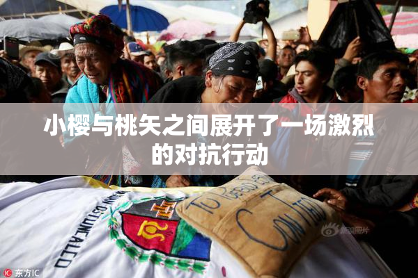 小樱与桃矢之间展开了一场激烈的对抗行动