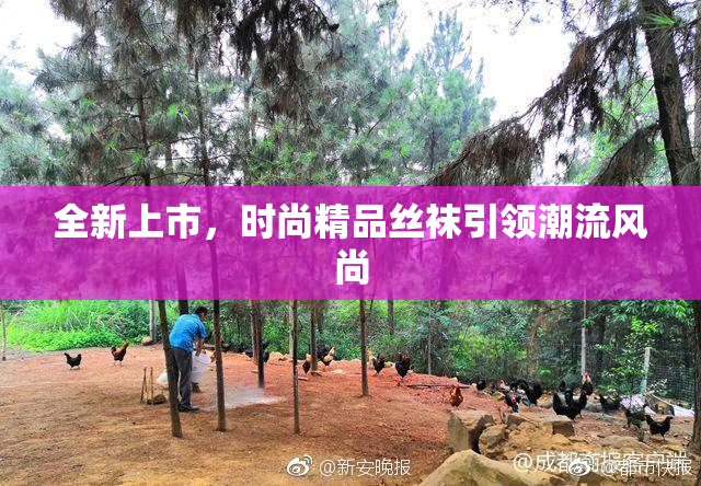 全新上市，时尚精品丝袜引领潮流风尚