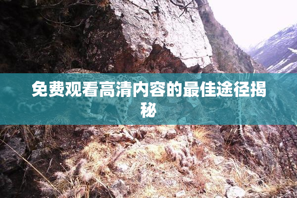 免费观看高清内容的最佳途径揭秘
