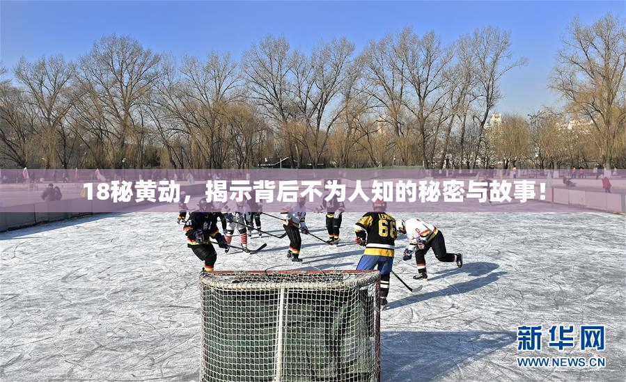 18秘黄动，揭示背后不为人知的秘密与故事！