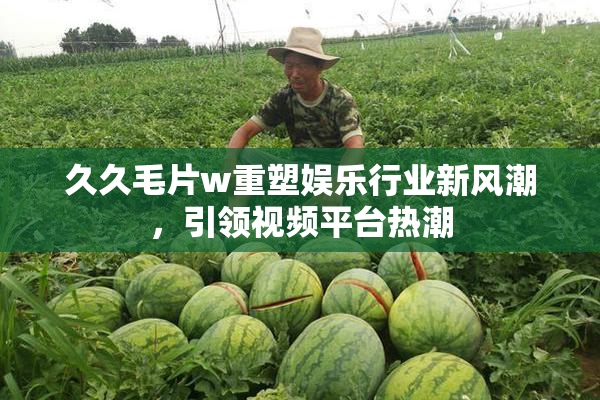 久久毛片w重塑娱乐行业新风潮，引领视频平台热潮