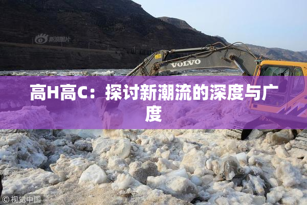 高H高C：探讨新潮流的深度与广度