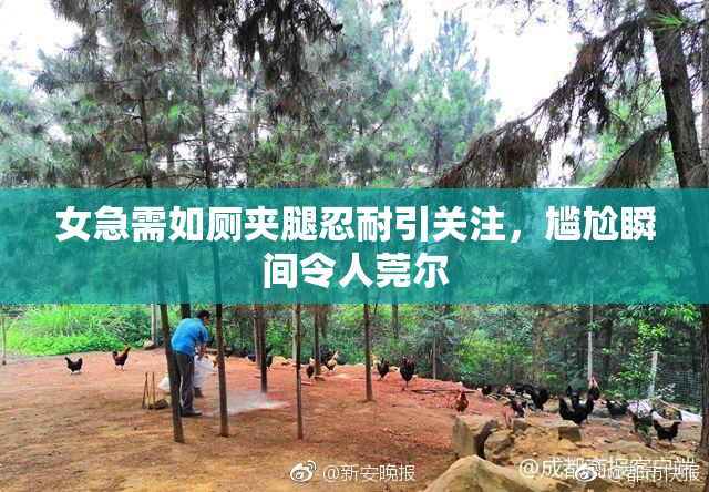 女急需如厕夹腿忍耐引关注，尴尬瞬间令人莞尔