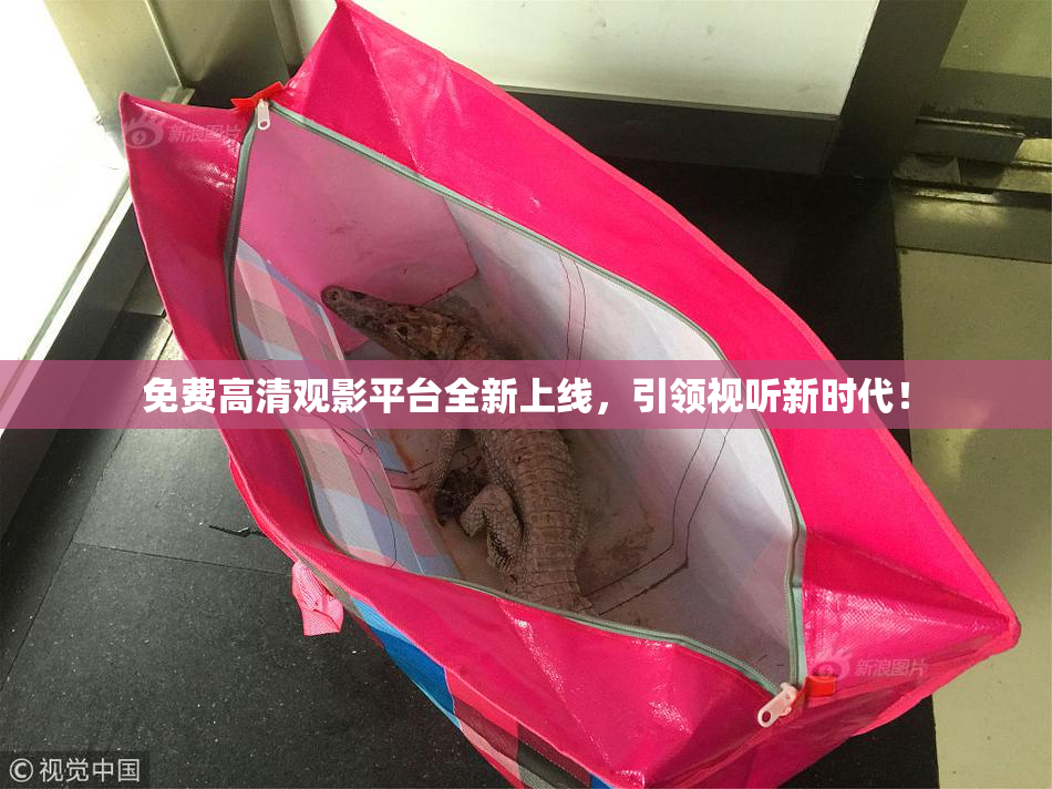 免费高清观影平台全新上线，引领视听新时代！