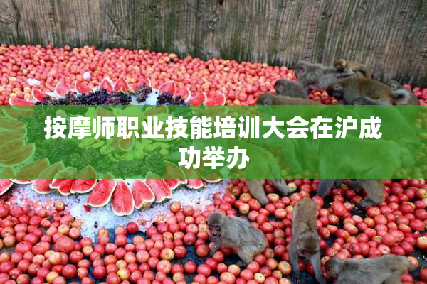 按摩师职业技能培训大会在沪成功举办