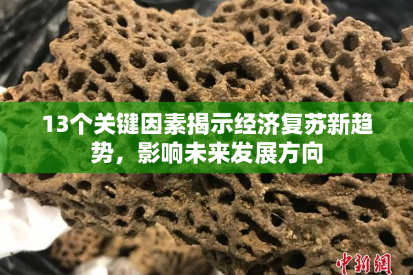 13个关键因素揭示经济复苏新趋势，影响未来发展方向