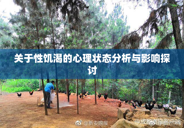 关于性饥渴的心理状态分析与影响探讨
