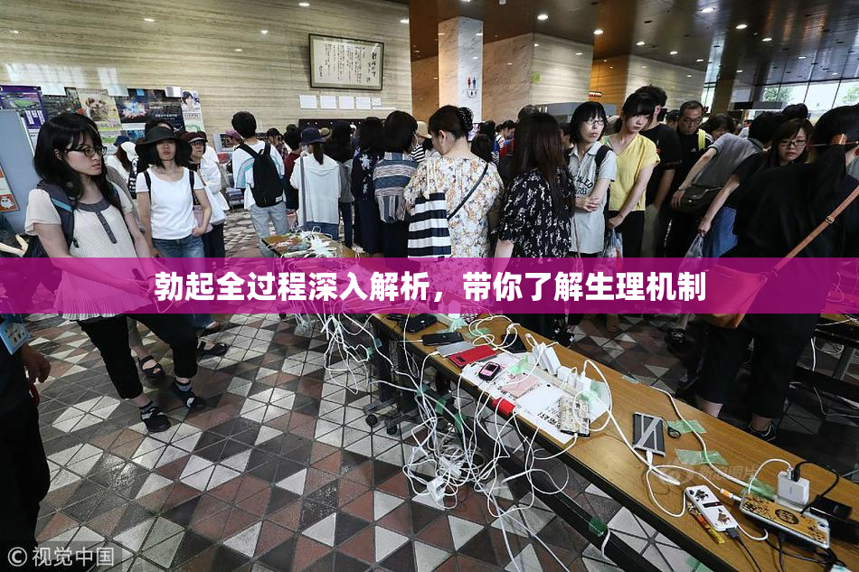 勃起全过程深入解析，带你了解生理机制