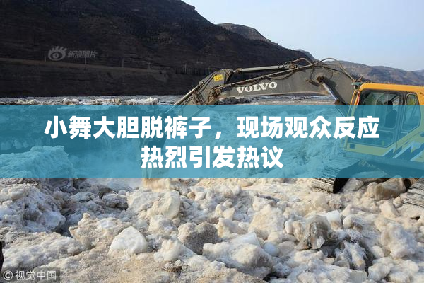 小舞大胆脱裤子，现场观众反应热烈引发热议