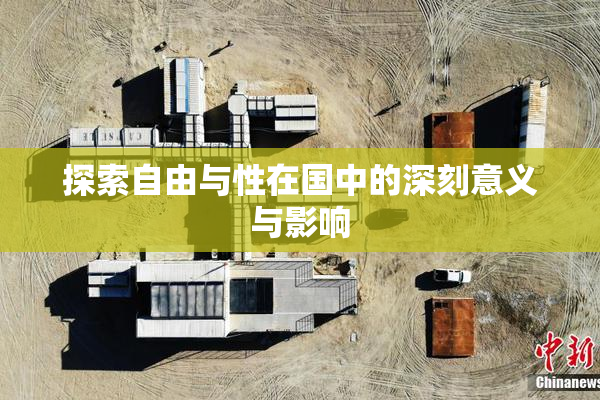 探索自由与性在国中的深刻意义与影响