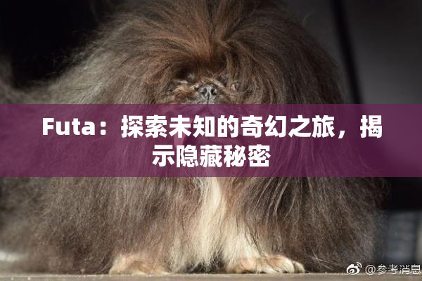 Futa：探索未知的奇幻之旅，揭示隐藏秘密