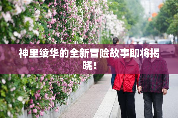 神里绫华的全新冒险故事即将揭晓！
