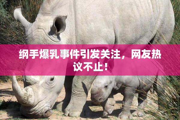 纲手爆乳事件引发关注，网友热议不止！
