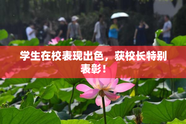 学生在校表现出色，获校长特别表彰！