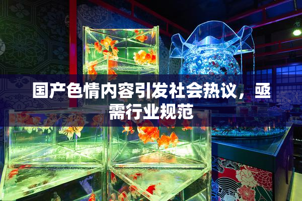 国产色情内容引发社会热议，亟需行业规范