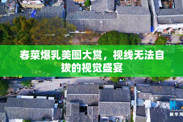 春菜爆乳美图大赏，视线无法自拔的视觉盛宴