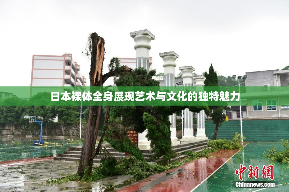 日本裸体全身展现艺术与文化的独特魅力