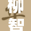 柳智敏在国际舞台上展现卓越才华