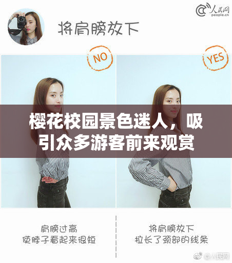 樱花校园景色迷人，吸引众多游客前来观赏