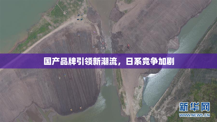 国产品牌引领新潮流，日系竞争加剧