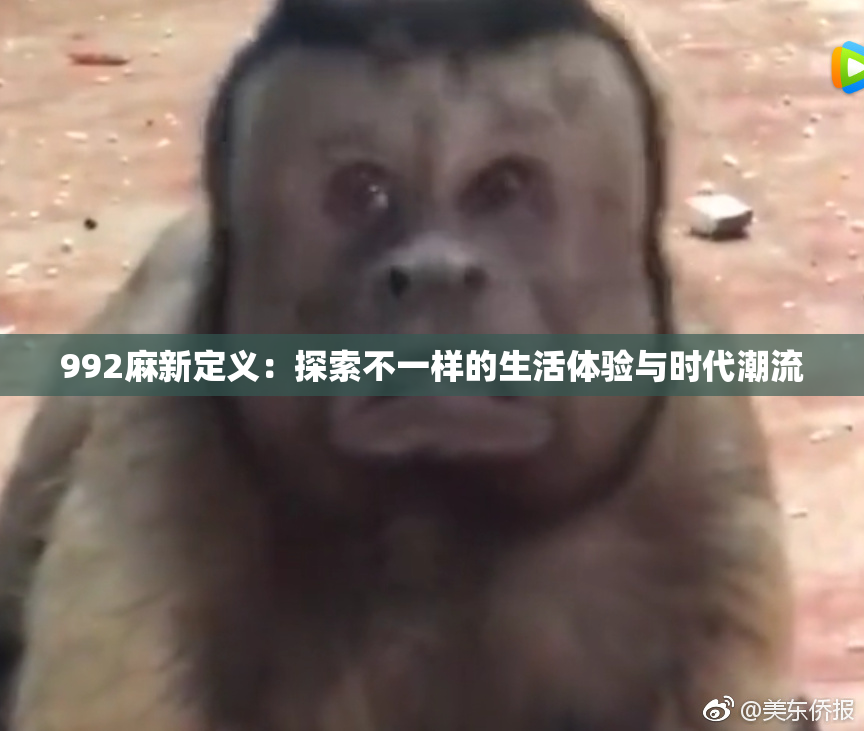992麻新定义：探索不一样的生活体验与时代潮流