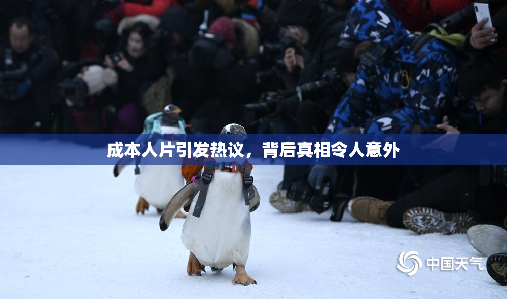 成本人片引发热议，背后真相令人意外