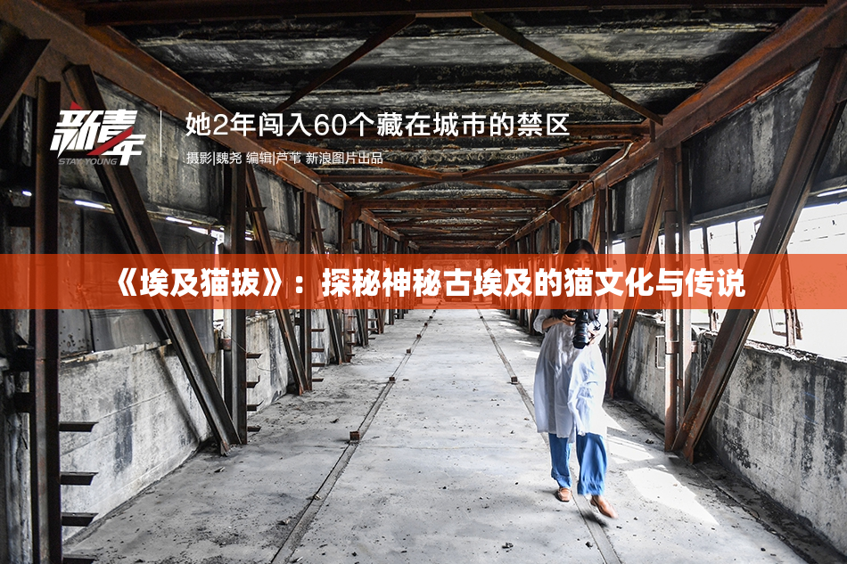 《埃及猫拔》：探秘神秘古埃及的猫文化与传说