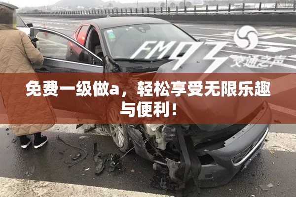 免费一级做a，轻松享受无限乐趣与便利！