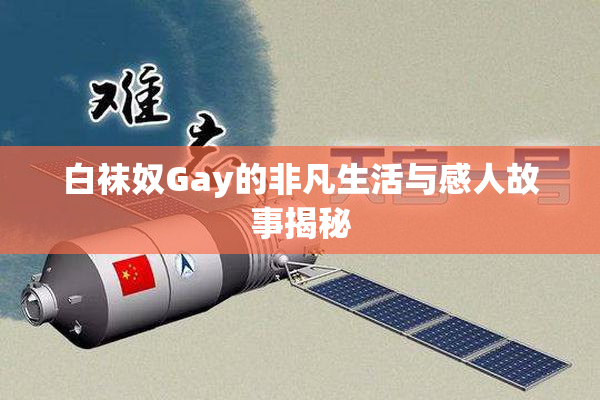 白袜奴Gay的非凡生活与感人故事揭秘