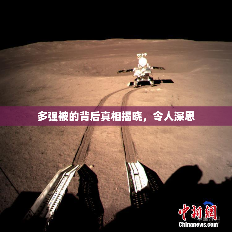 多强被的背后真相揭晓，令人深思