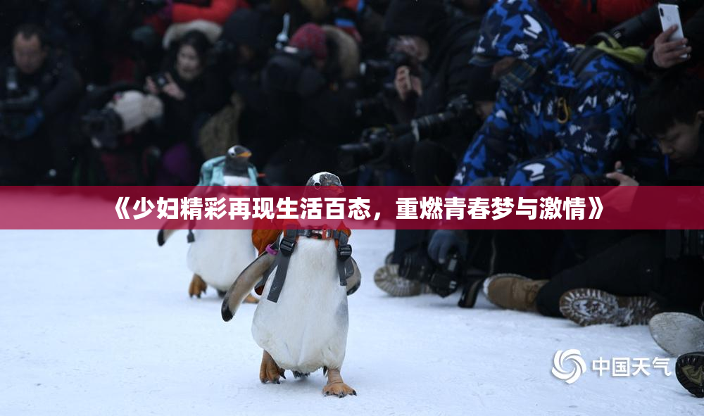 《少妇精彩再现生活百态，重燃青春梦与激情》