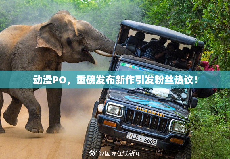动漫PO，重磅发布新作引发粉丝热议！