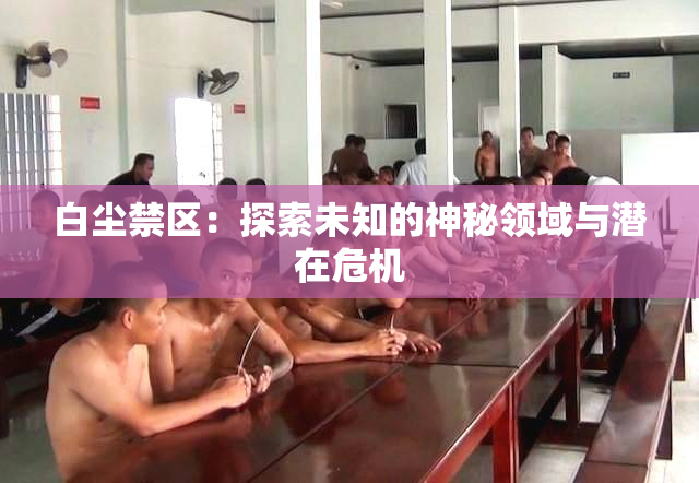 白尘禁区：探索未知的神秘领域与潜在危机