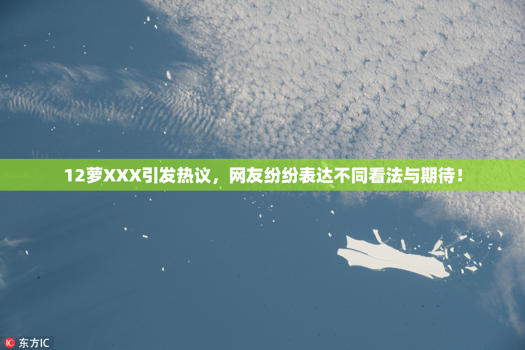 12萝XXX引发热议，网友纷纷表达不同看法与期待！