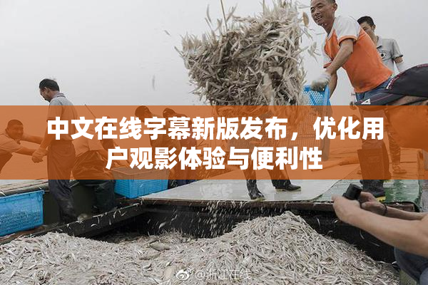 中文在线字幕新版发布，优化用户观影体验与便利性