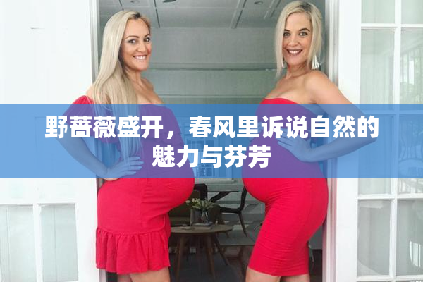 野蔷薇盛开，春风里诉说自然的魅力与芬芳