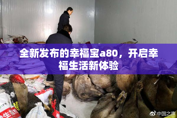 全新发布的幸福宝a80，开启幸福生活新体验