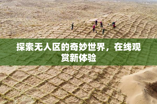 探索无人区的奇妙世界，在线观赏新体验