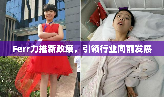 Ferr力推新政策，引领行业向前发展