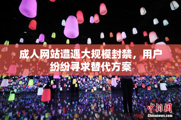 成人网站遭遇大规模封禁，用户纷纷寻求替代方案
