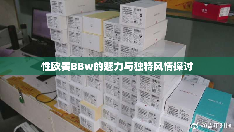 性欧美BBw的魅力与独特风情探讨