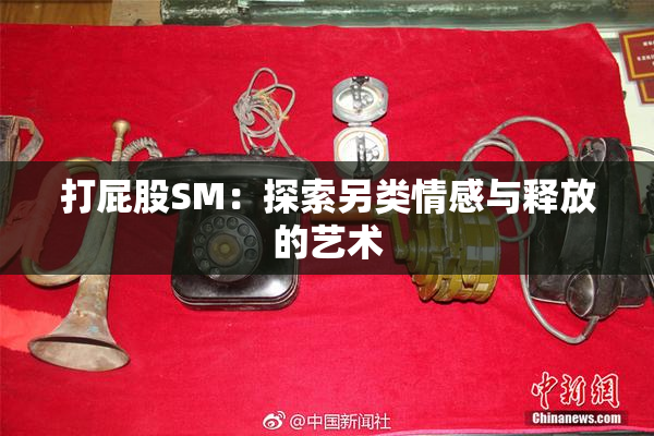 打屁股SM：探索另类情感与释放的艺术