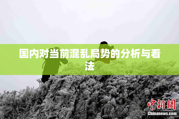 国内对当前混乱局势的分析与看法