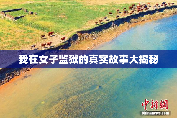 我在女子监狱的真实故事大揭秘